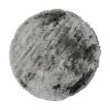 Le moins cher ⌛ Westwing Collection Tapis rond shaggy gris clair Jimmy, Ø 120 cm (taille S) 😀